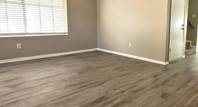 pic1