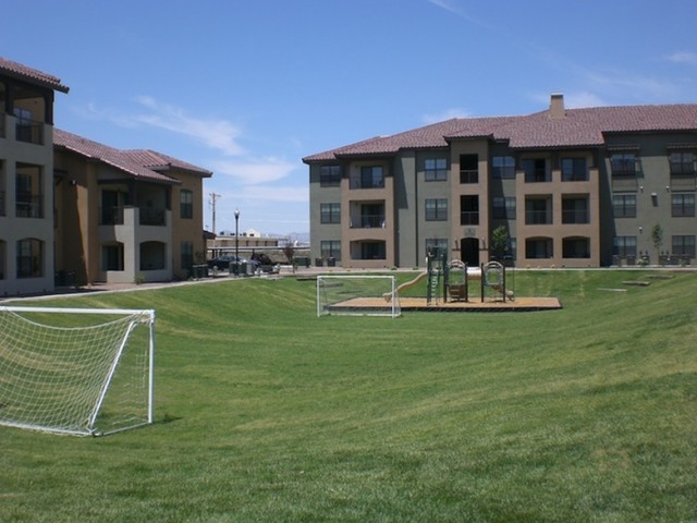 Soccer Playing Field