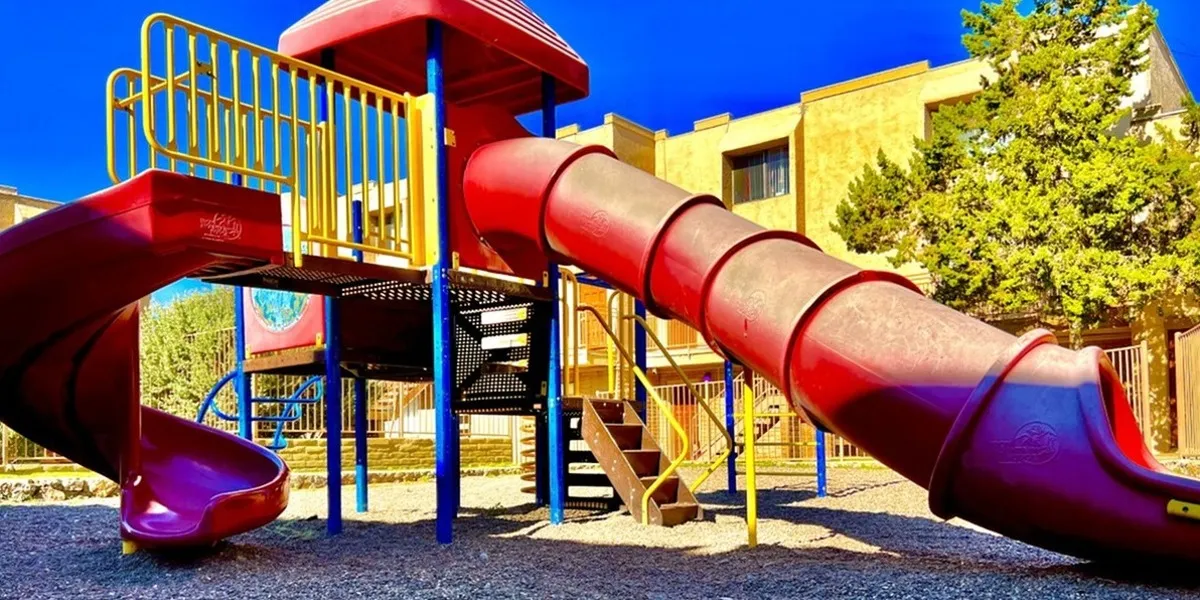 PIC1