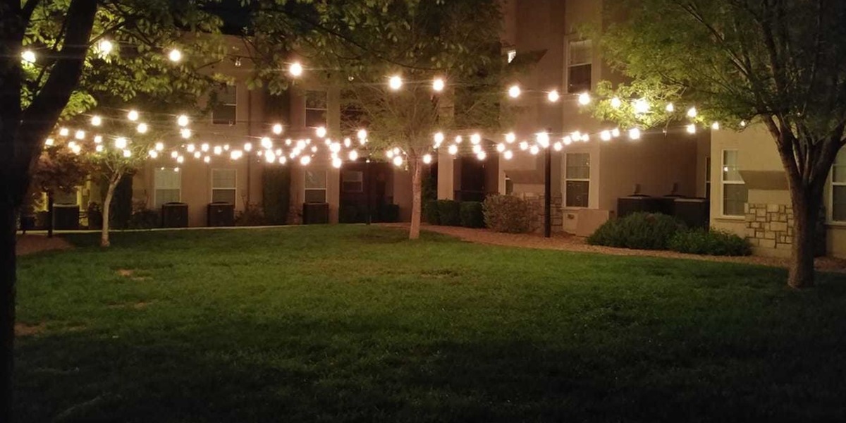 Pic 5