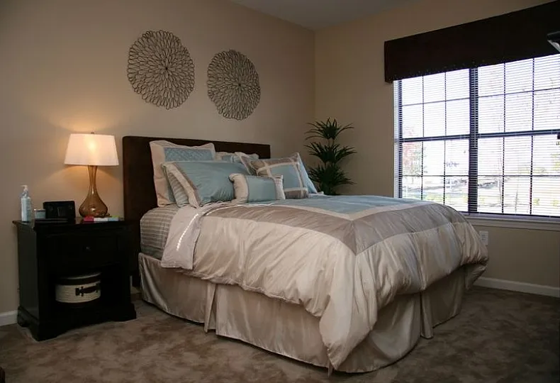 Primary Bedroom with bedside table