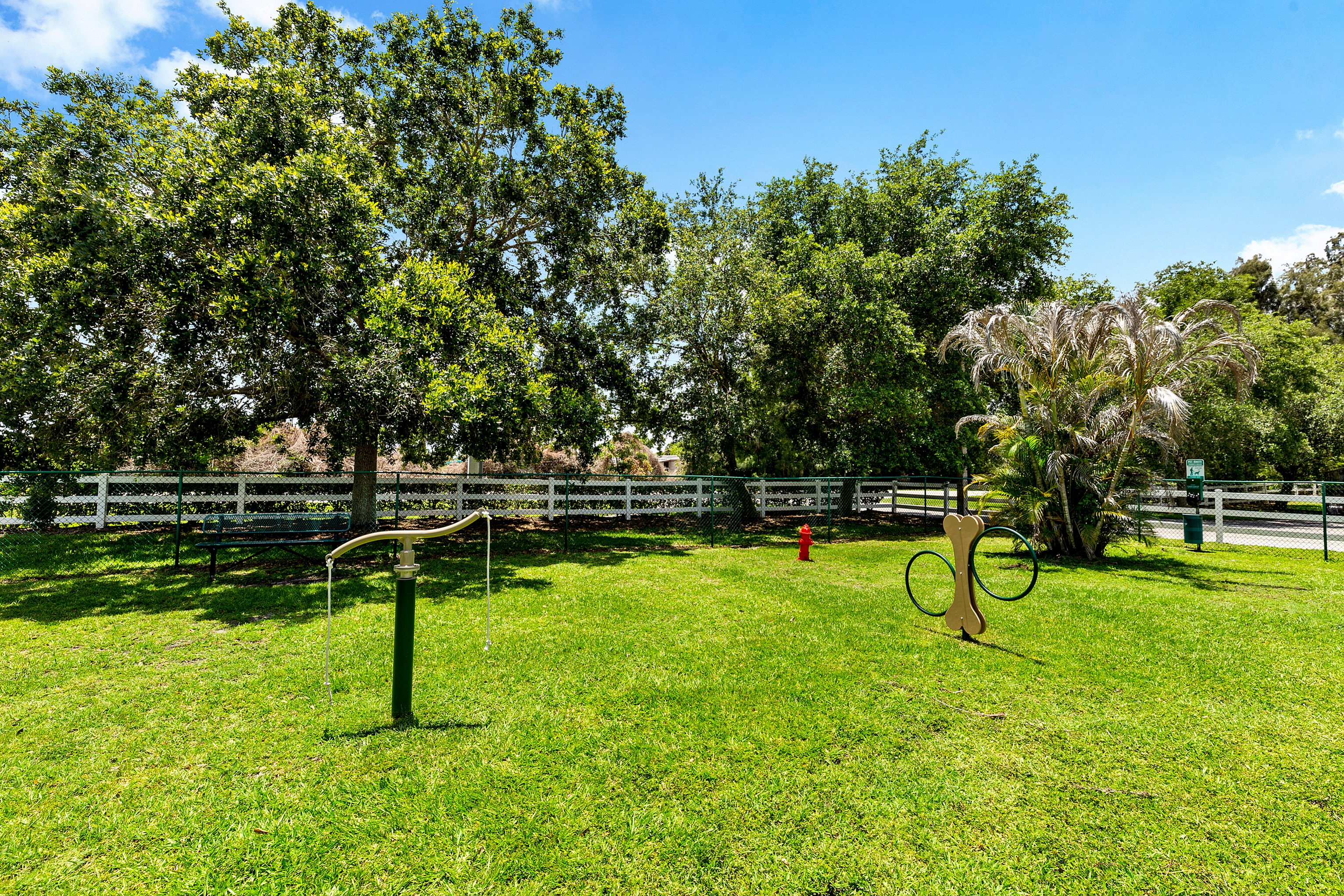 Sunny and spacious dog park with lush green grass, trees, and exercise equipment, offering a perfect retreat for pets and owners.