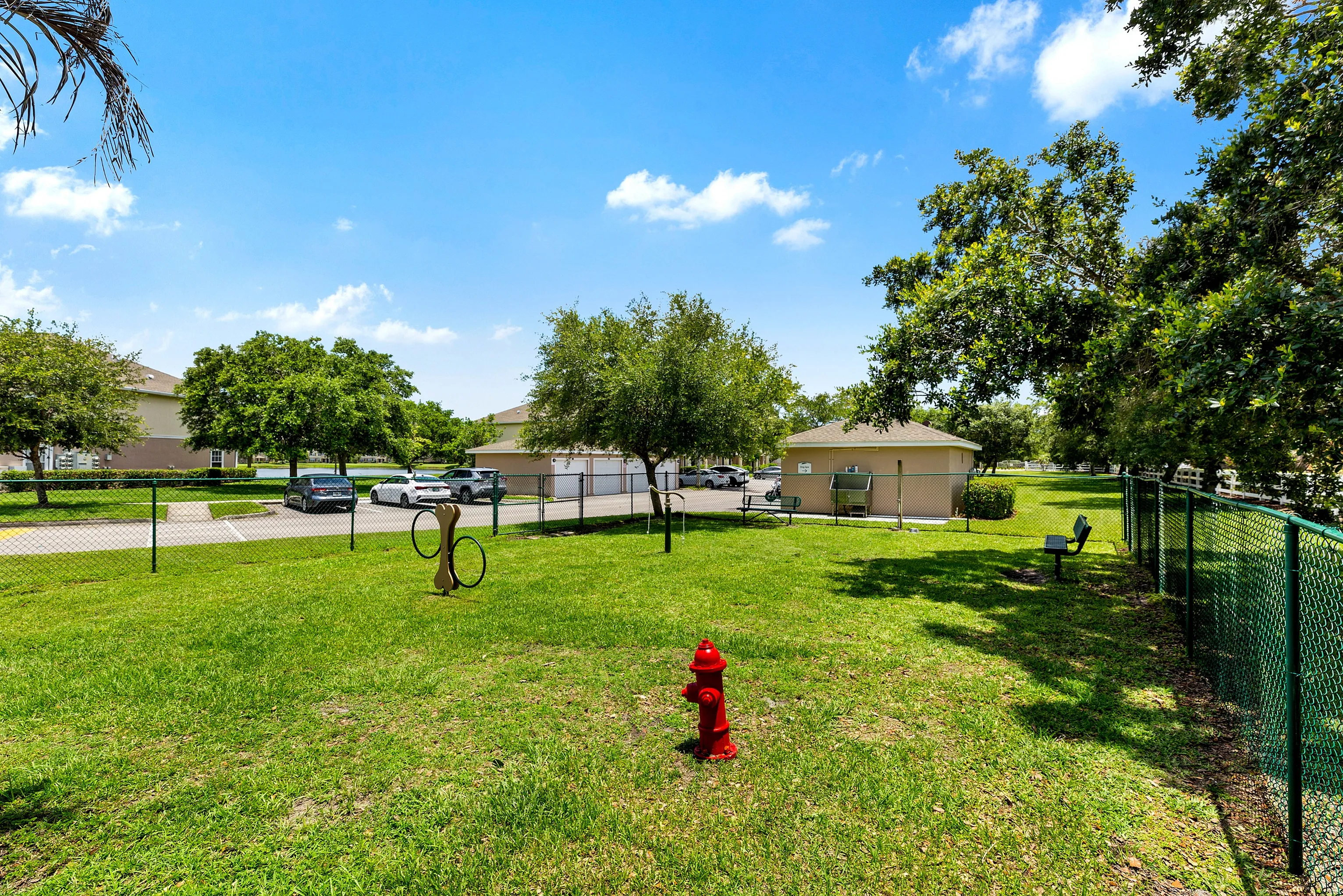 Vibrant dog park with lush green grass, agility equipment, and a bright red fire hydrant, surrounded by trees and secure fencing, under a clear blue sky.