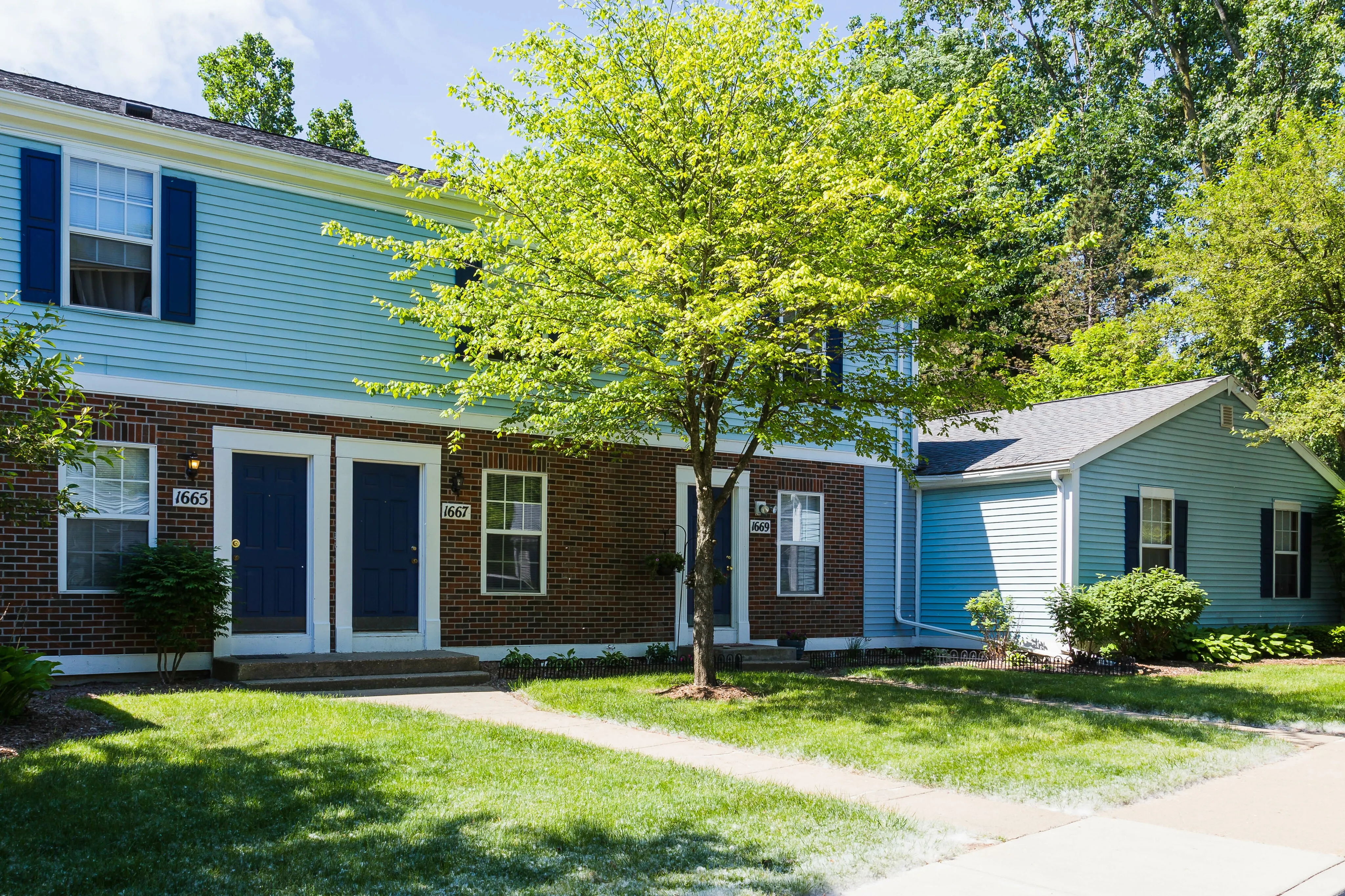 Meadows Exterior