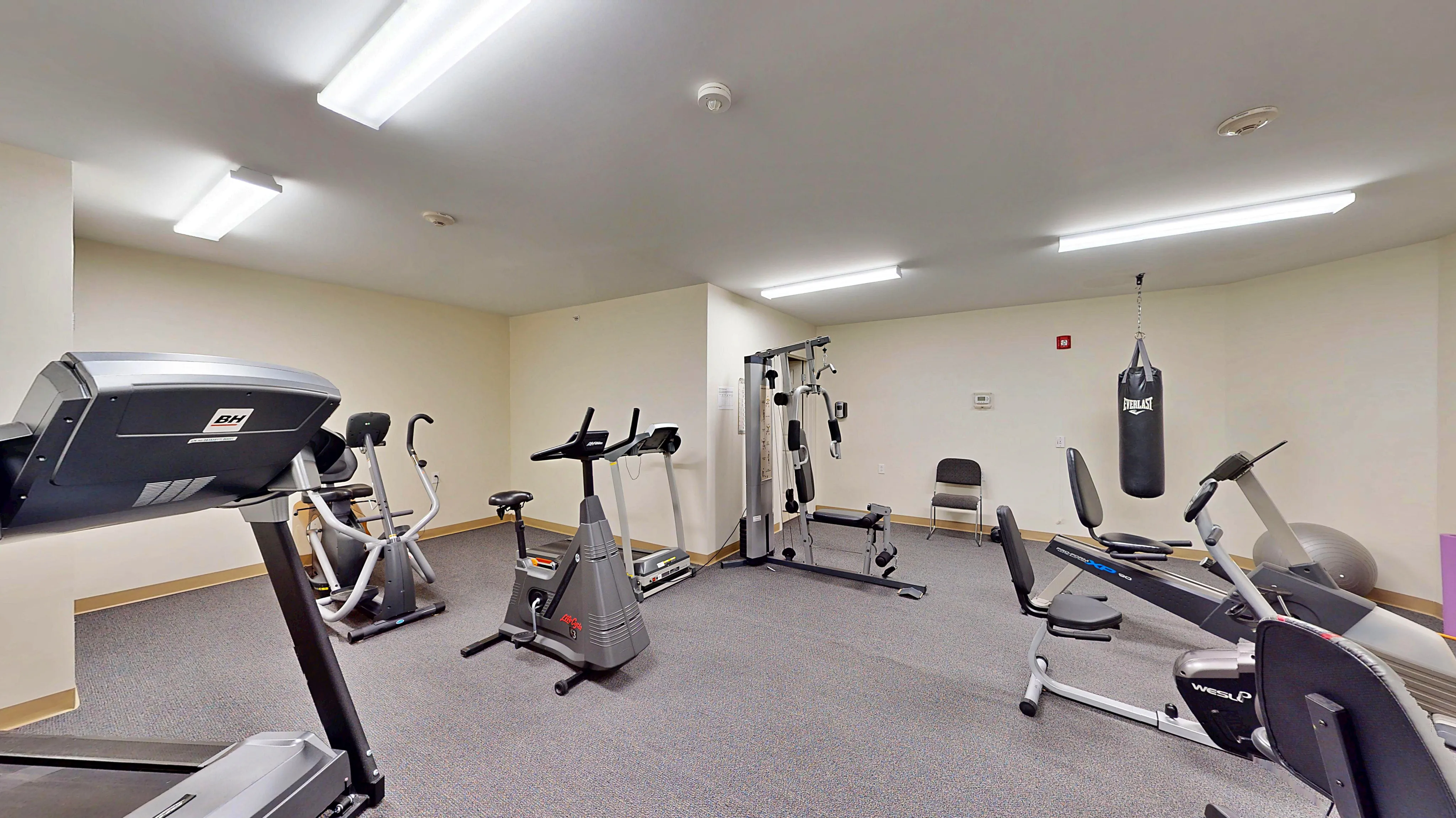 Modern fitness center featuring state-of-the-art exercise equipment and a punching bag for a full workout experience.