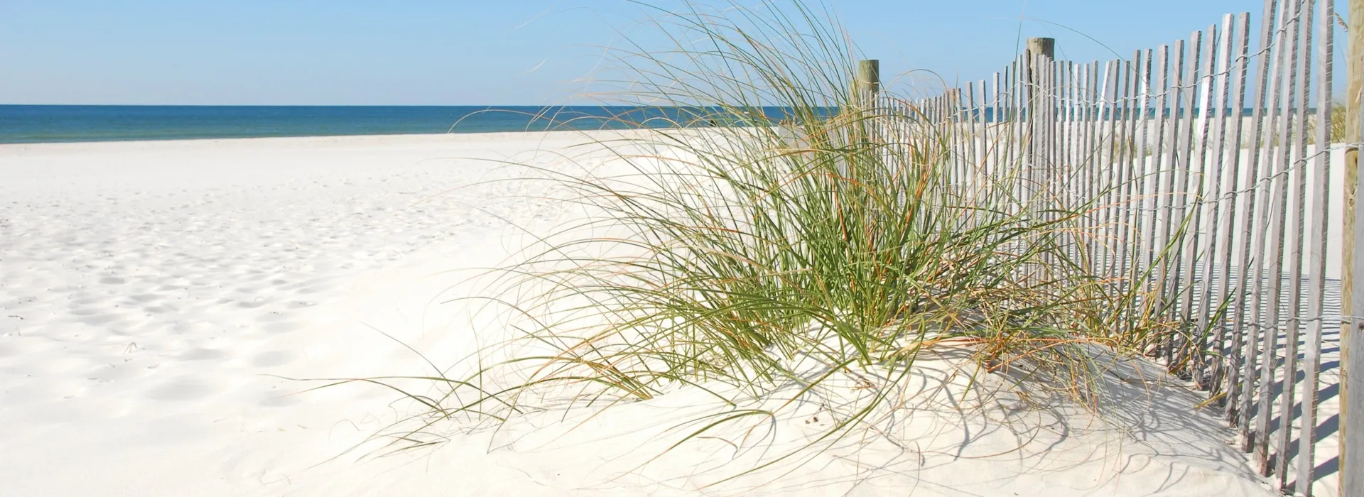 Gulf Beach