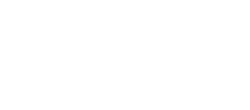 Palms at Wyndtree Logo