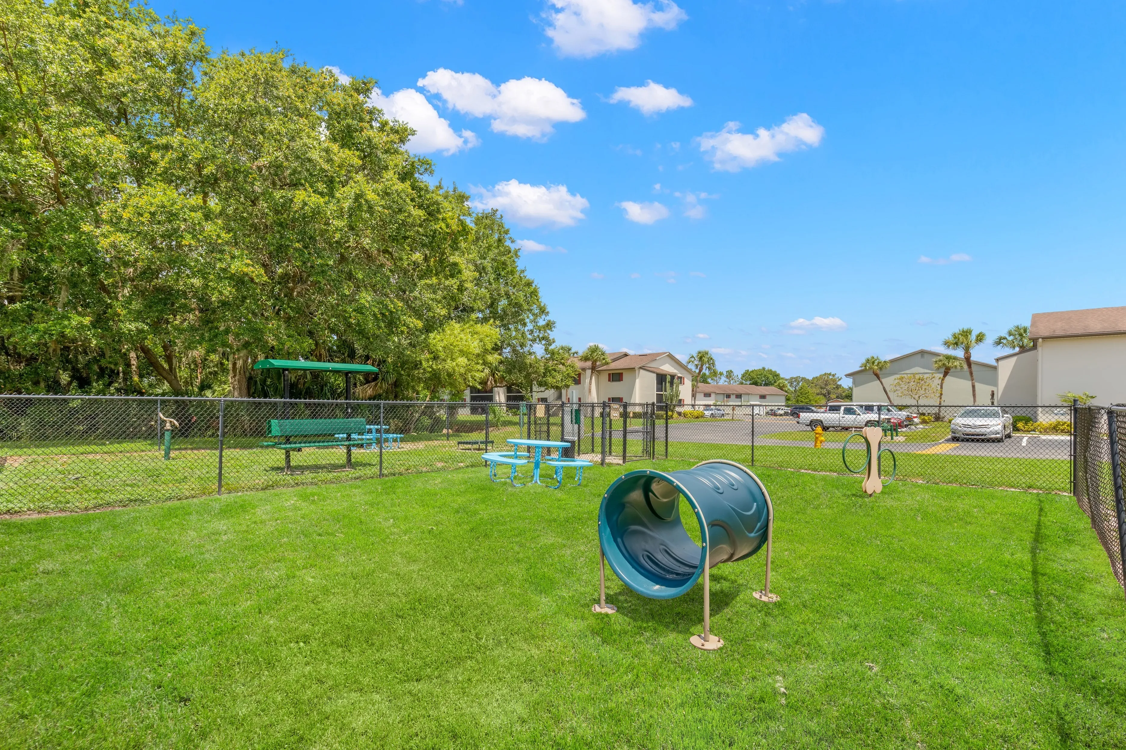 Bark Parks with Agility Equipment