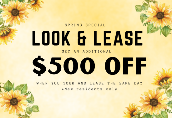 Spring Special