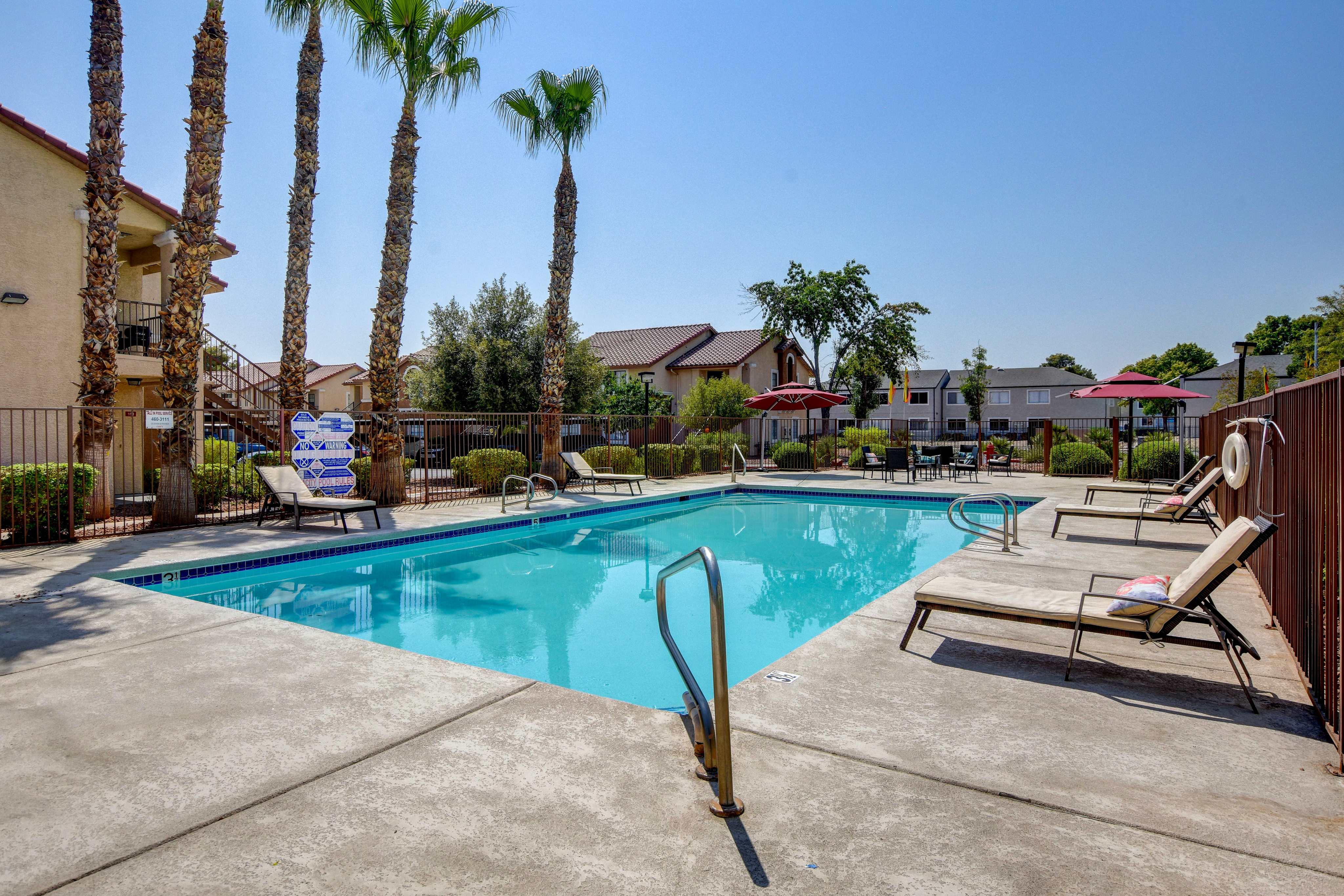 Inviting outdoor pool surrounded by palm trees and comfortable lounge chairs.