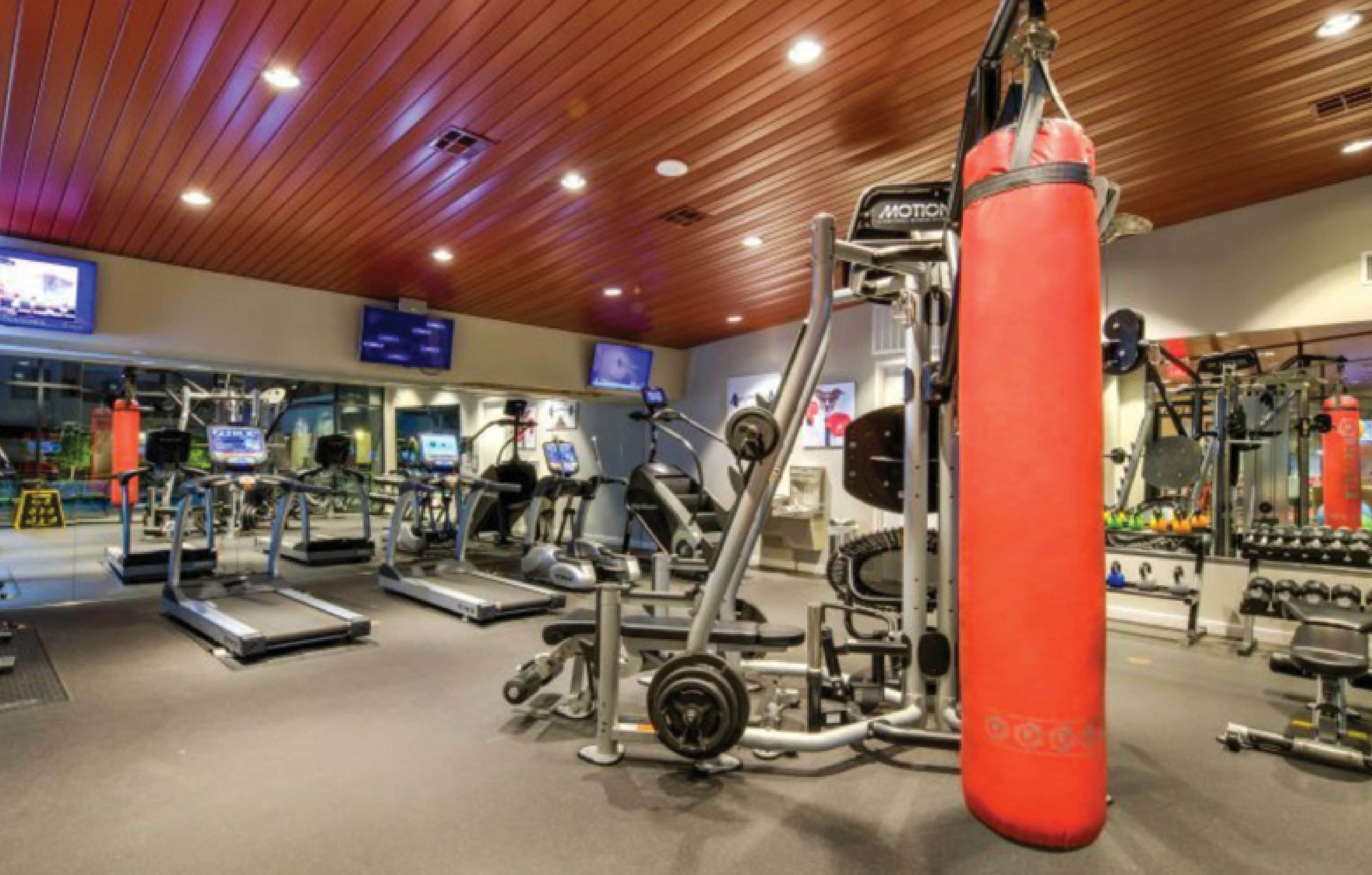 Modern fitness center with state-of-the-art gym equipment, treadmills, punching bag, and sleek interiors for a premium workout experience.