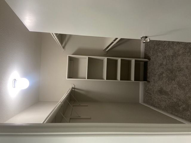 Spacious walk-in closet with ample shelving and lighting.