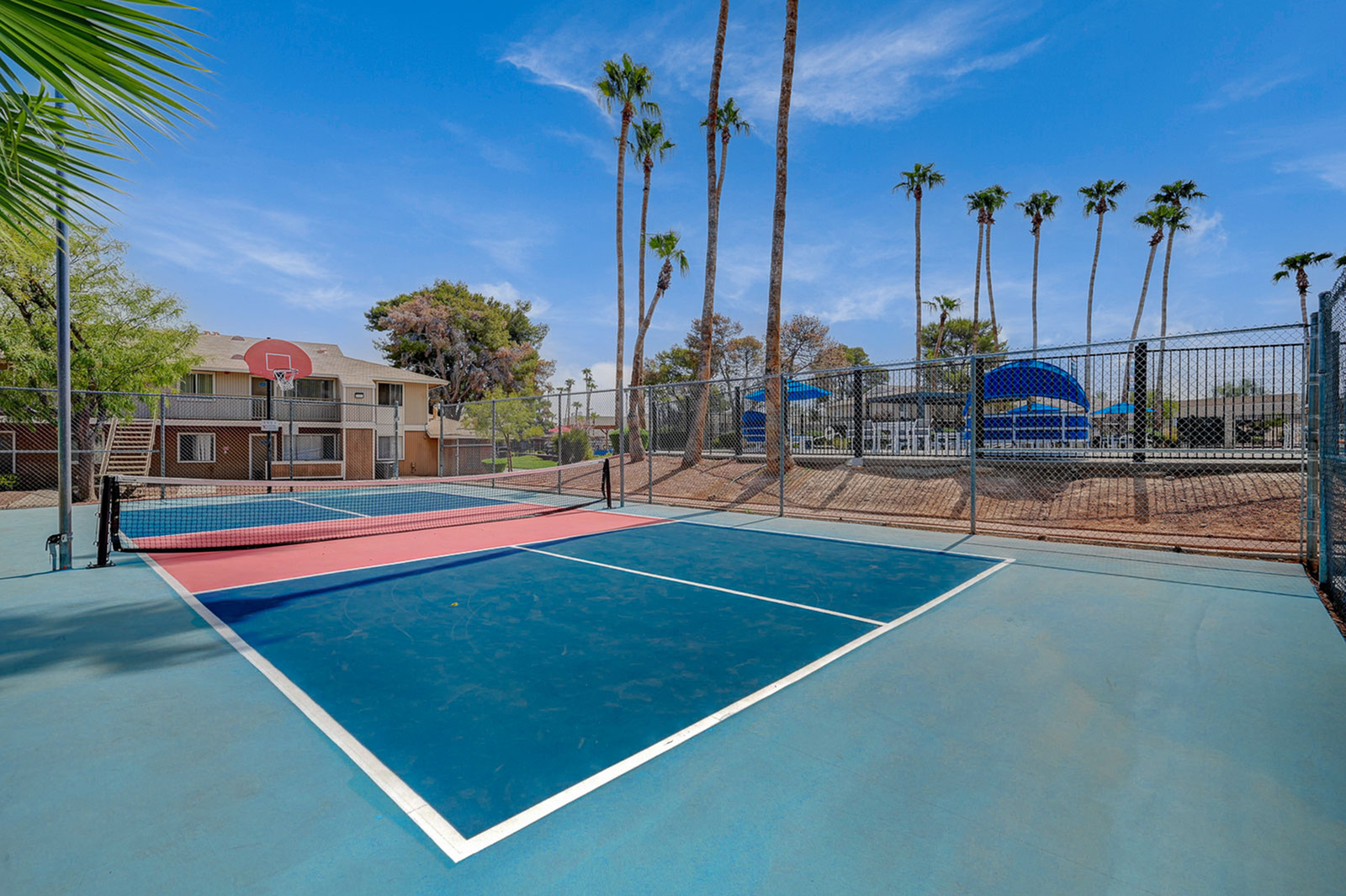 Vibrant multi-use sports court with scenic palm trees, featuring basketball and tennis areas, perfect for active outdoor living.