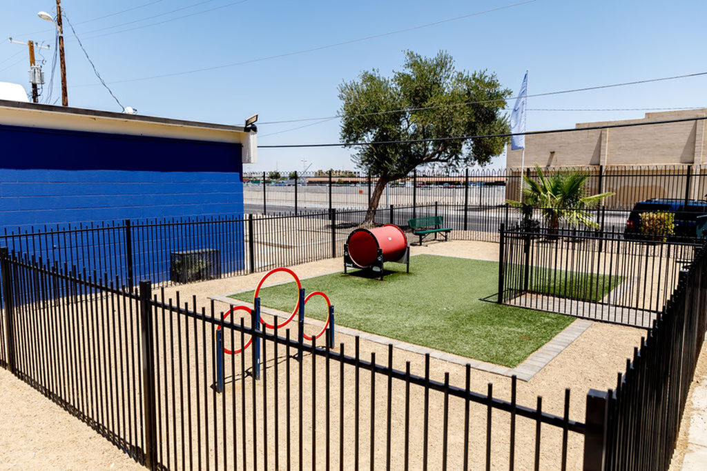 Charming fenced dog park with agility equipment and greenery, perfect for pet-friendly apartment living.