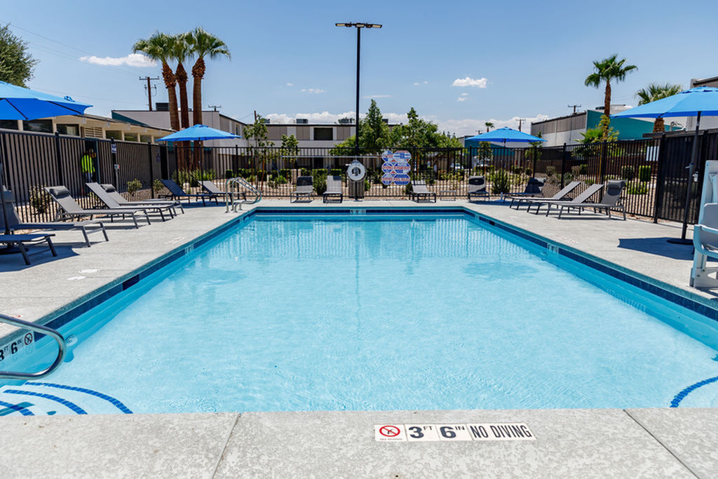 Inviting outdoor pool area with sun loungers, umbrellas, and palm trees, perfect for relaxation and leisure.