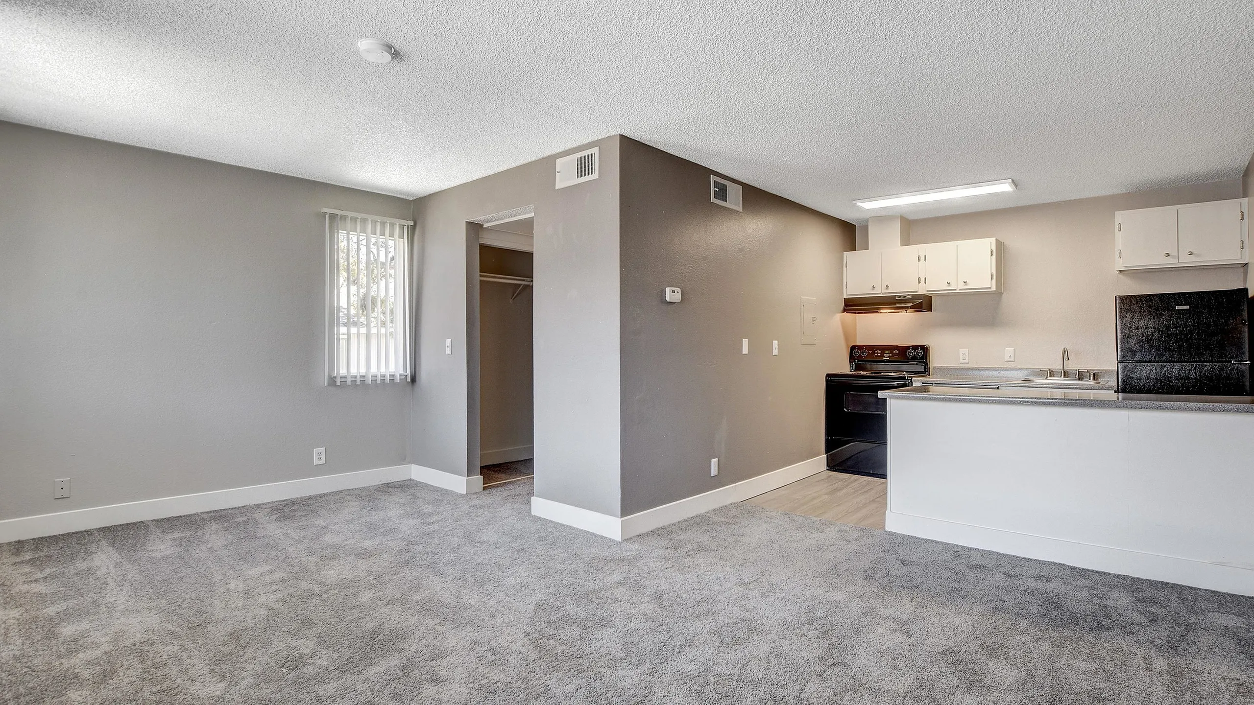 Modern apartment interior featuring a spacious open-plan with plush carpeting, sleek kitchen area, and minimalist design.