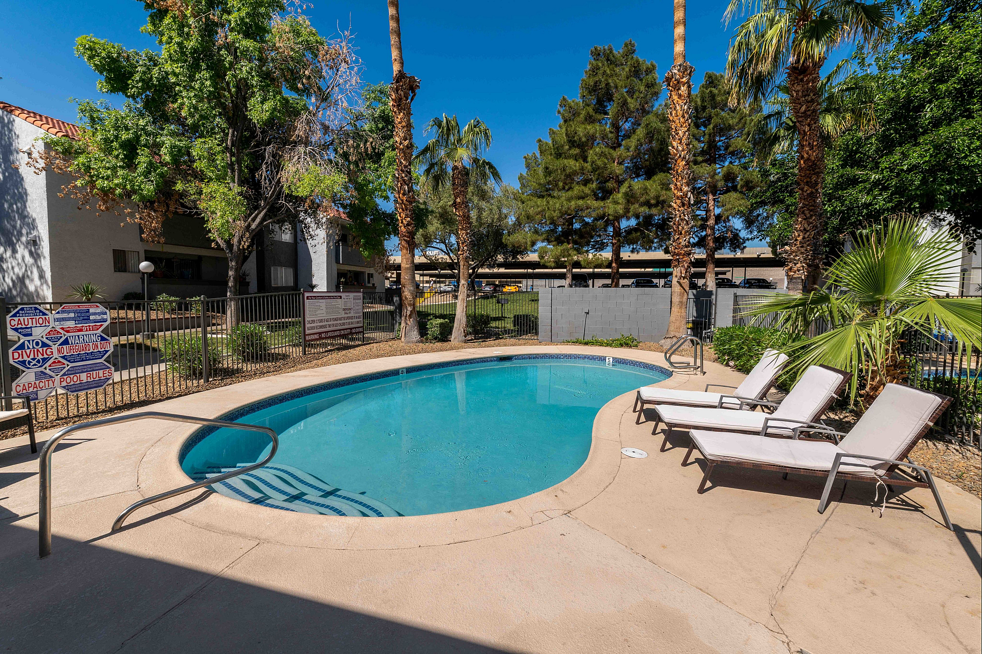 Inviting outdoor pool area with comfortable lounge chairs, framed by lush palm trees and vibrant greenery for a relaxing retreat.