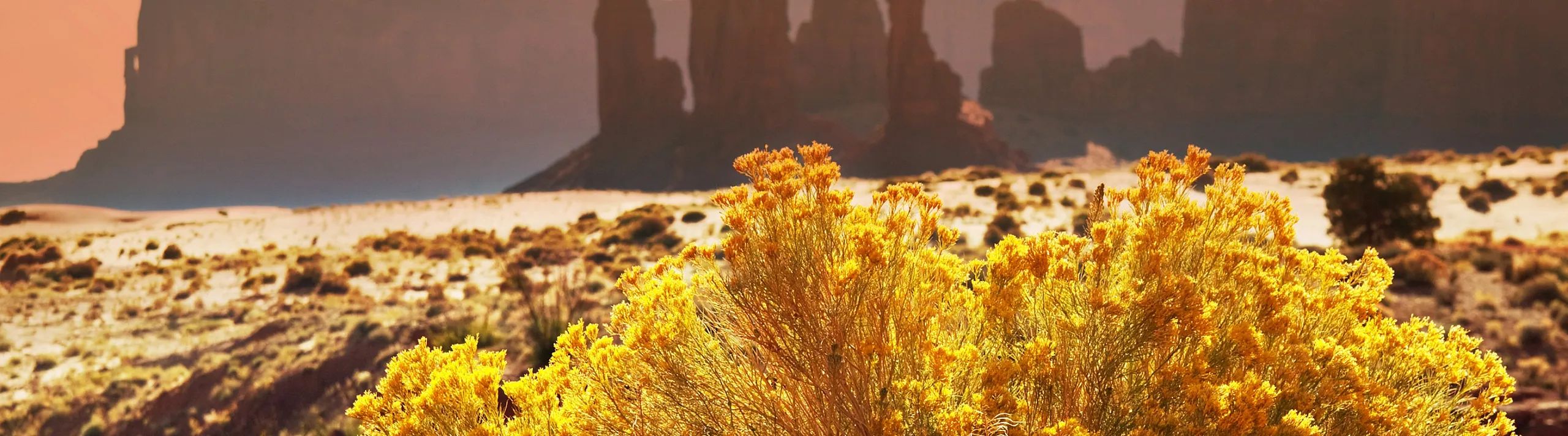 Majestic desert landscape with vibrant yellow wildflowers in the foreground and striking rock formations under a warm, orange sky.