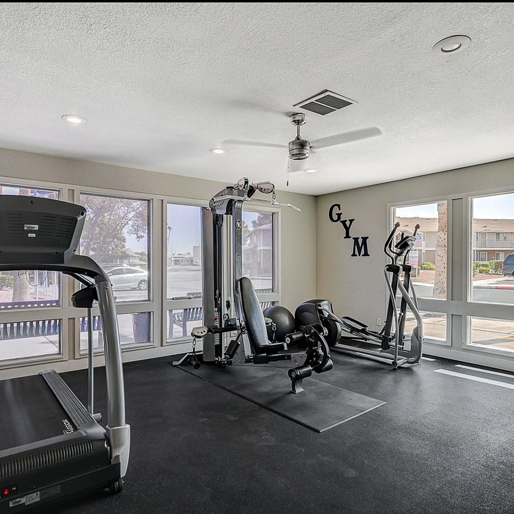 Modern fitness center with natural light, featuring high-quality treadmills and versatile strength-training equipment.