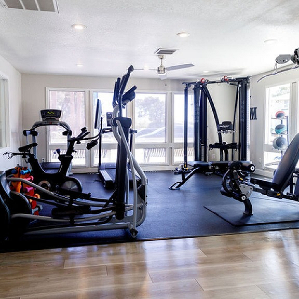 Modern fitness center with state-of-the-art exercise equipment and bright natural lighting.