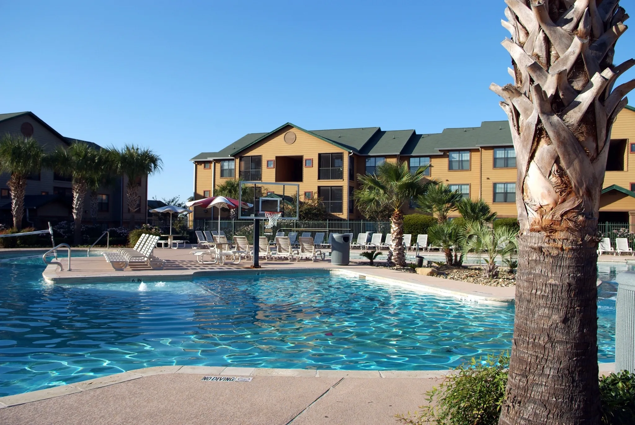 View Photos & Take A Virtual Tour | Reveille Ranch