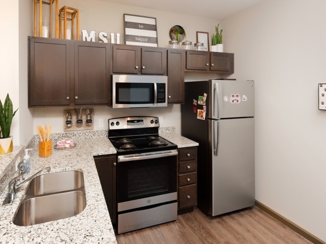Image of Stainless Steel Appliances for College View
