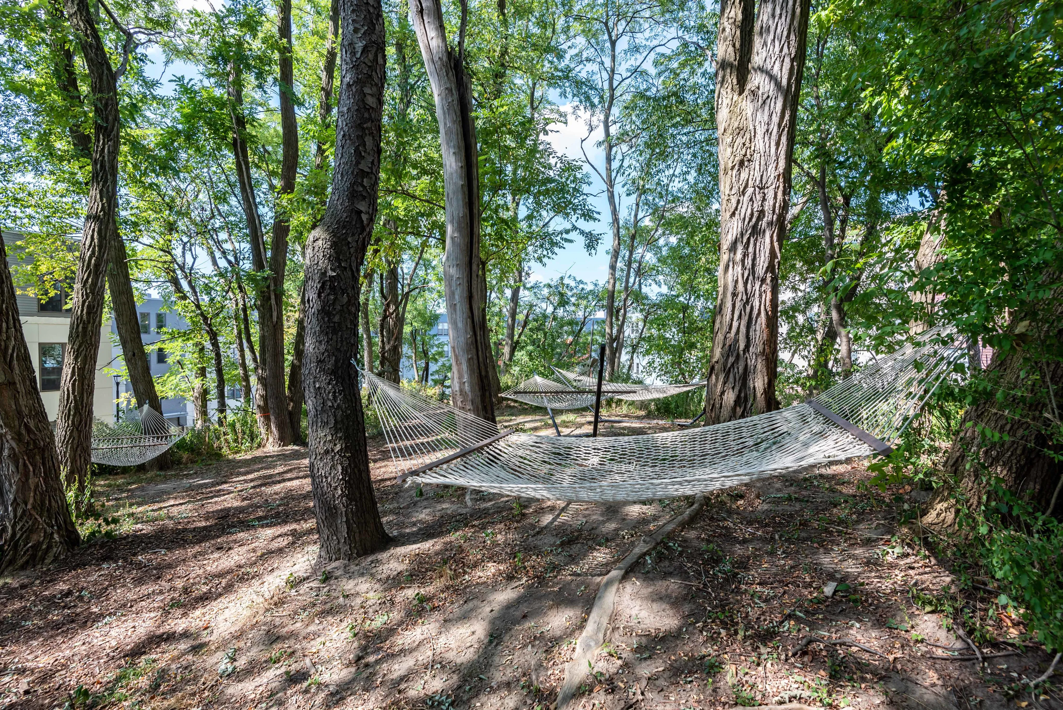 Hammock Garden