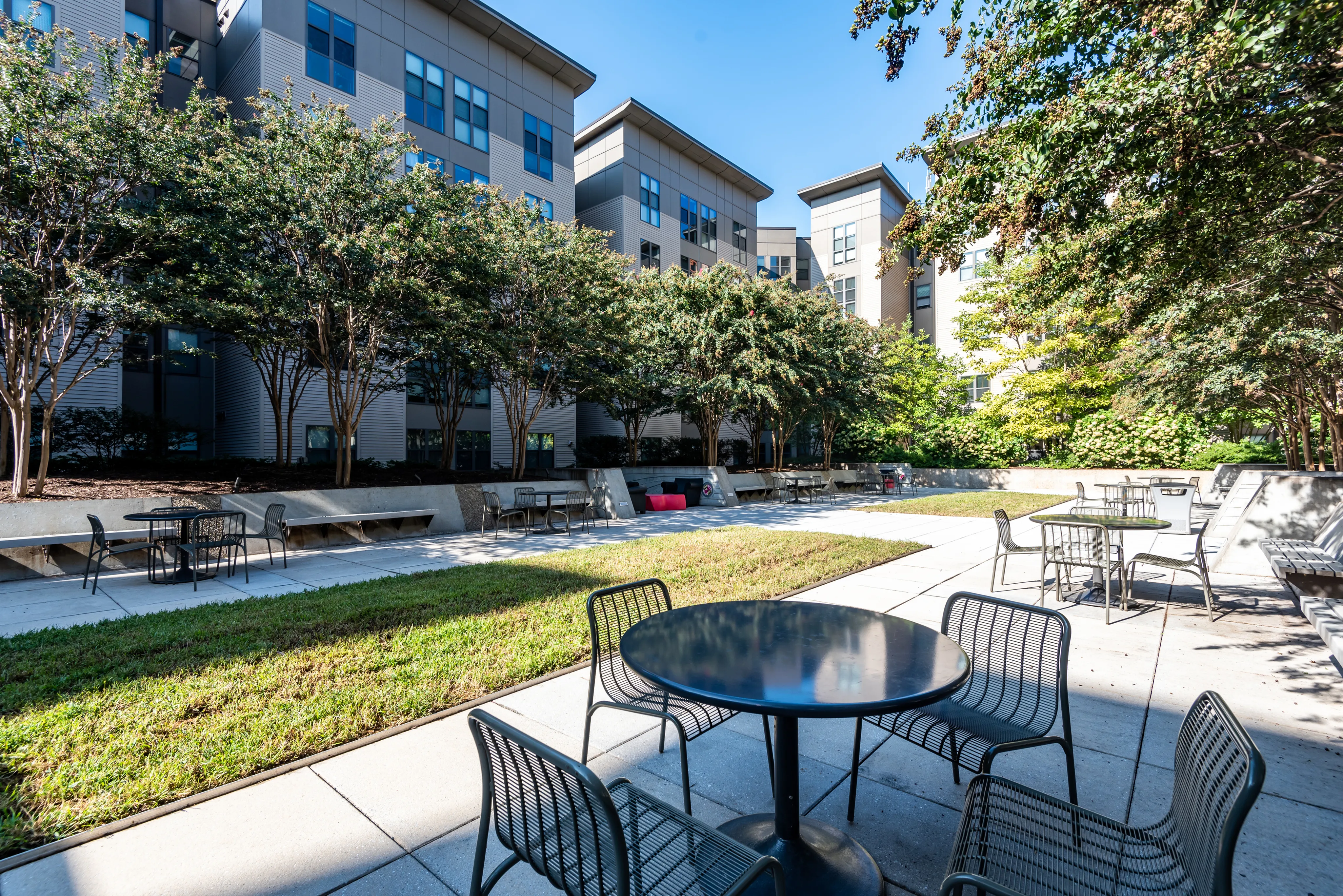 Image of Green Space Courtyard for The Varsity Maryland