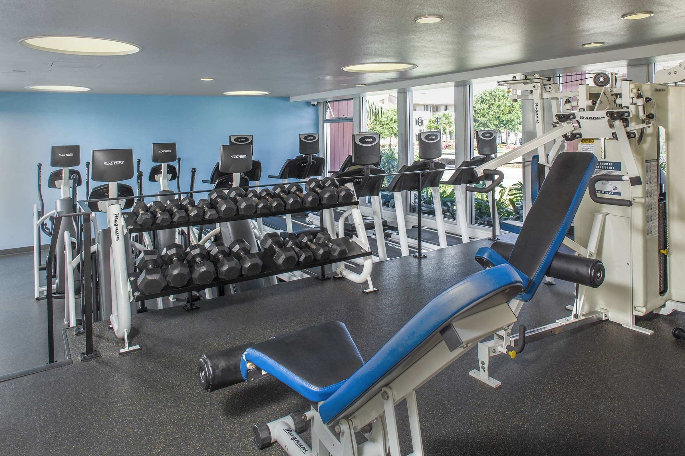 Fitness center with free weights and adjustable bench