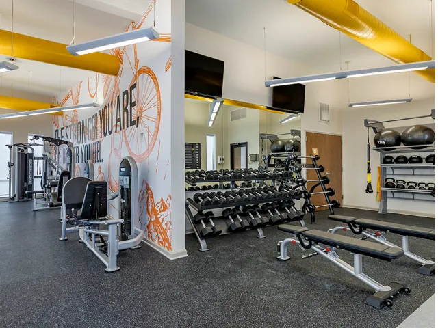 newly renovated fitness center