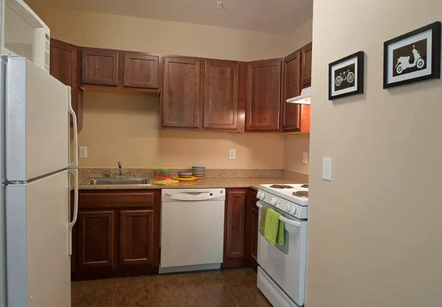 Modern Kitchen