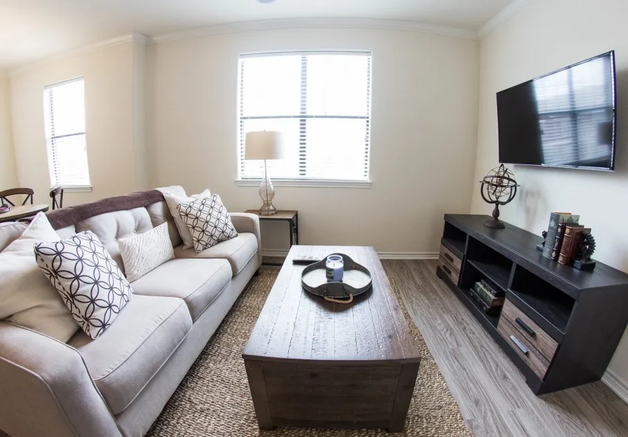 Modern Living Room