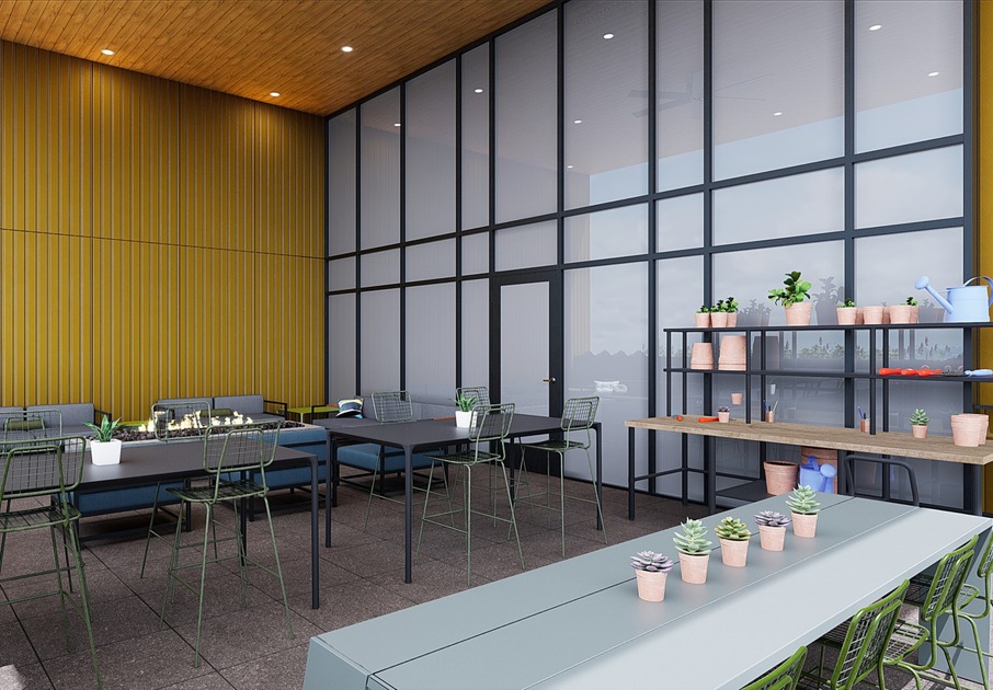 planting terrace