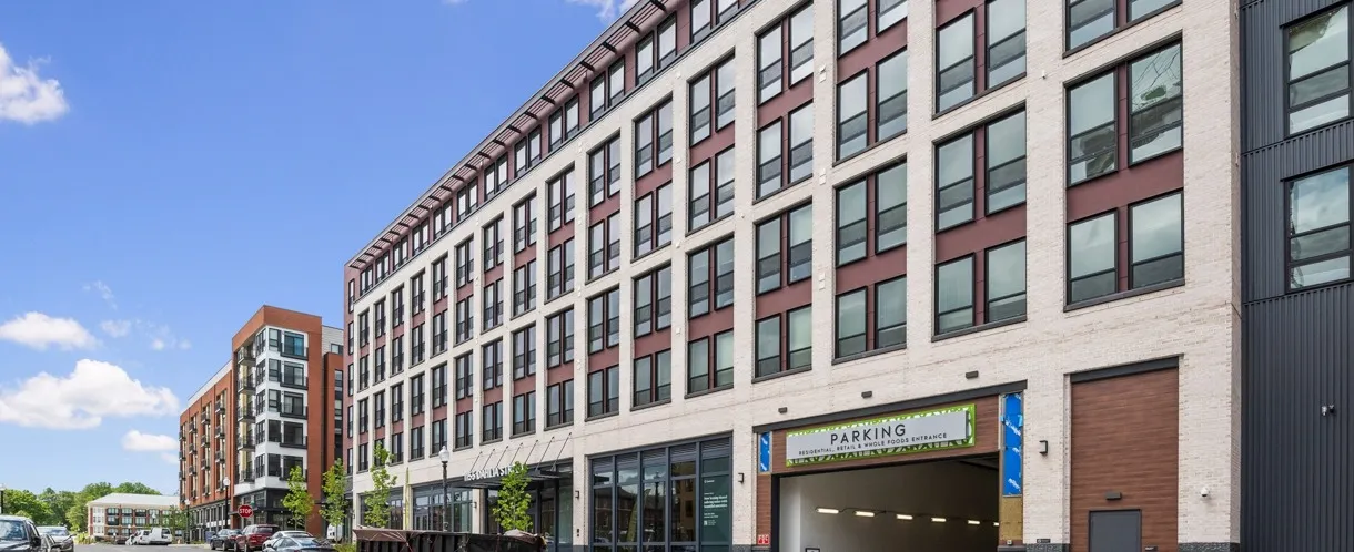 Clover exterior