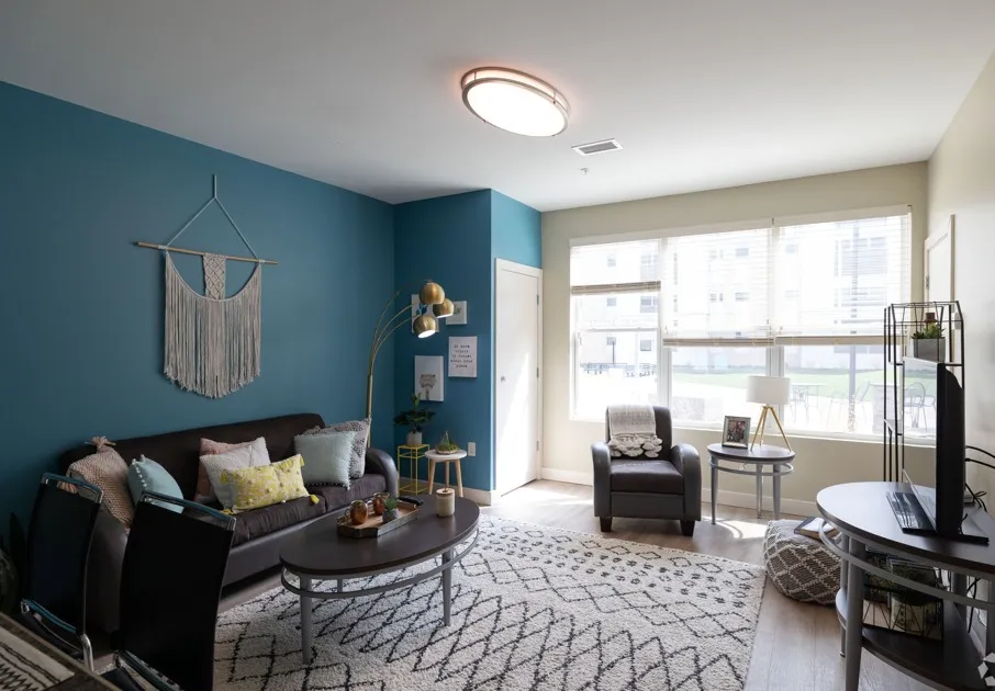Fully Furnished Living rooms