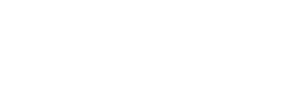 domain at town center logo