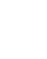 domain at town center logo