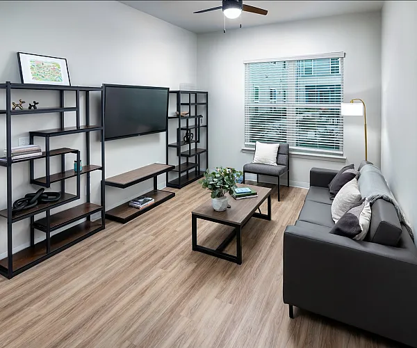 model apartment living room