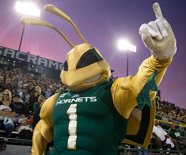 A sports games at Sacramento State near Hornet Commons apartments in Sacramento, CA, featuring the Hornet mascot.