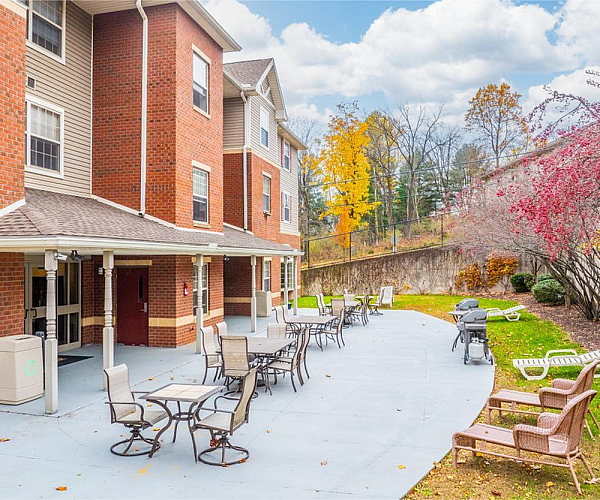 Charming outdoor patio area featuring stylish seating and lush greenery, perfect for relaxation and gatherings.