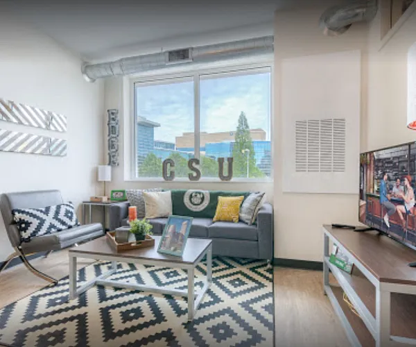 Bright and modern living room with large window, stylish decor, and cozy seating area.