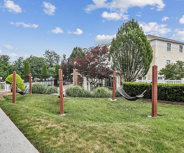 Inviting outdoor area with a cozy hammock surrounded by lush greenery, perfect for relaxation.