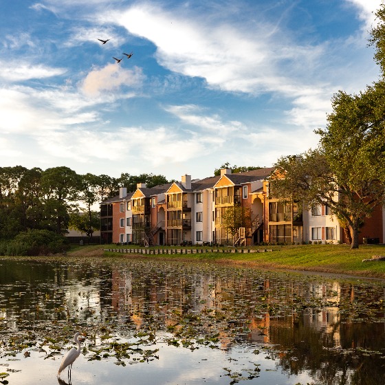 Luxury Apartments Near Safety Harbor, FL Avana Lakeview