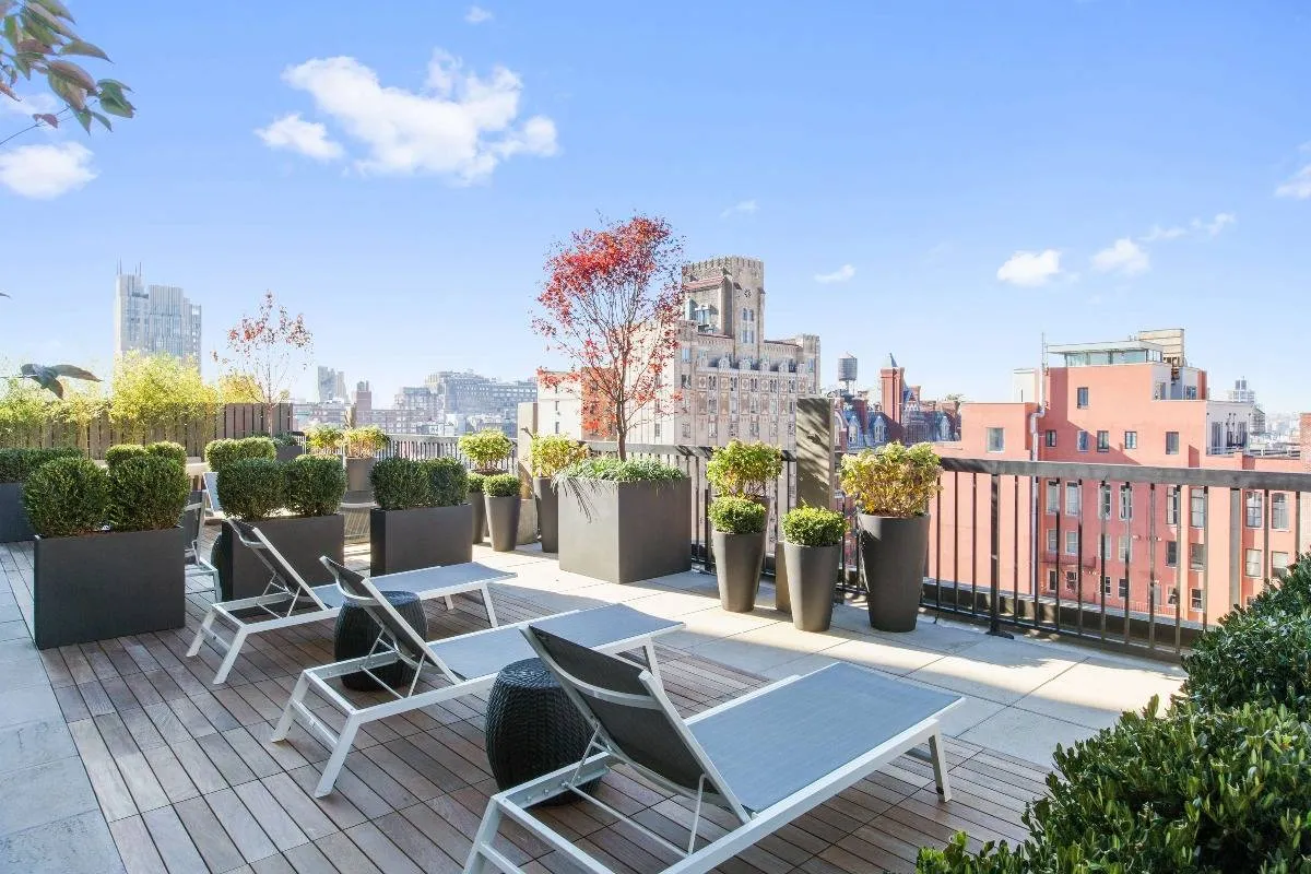 Garden terrace with lounge chairs
