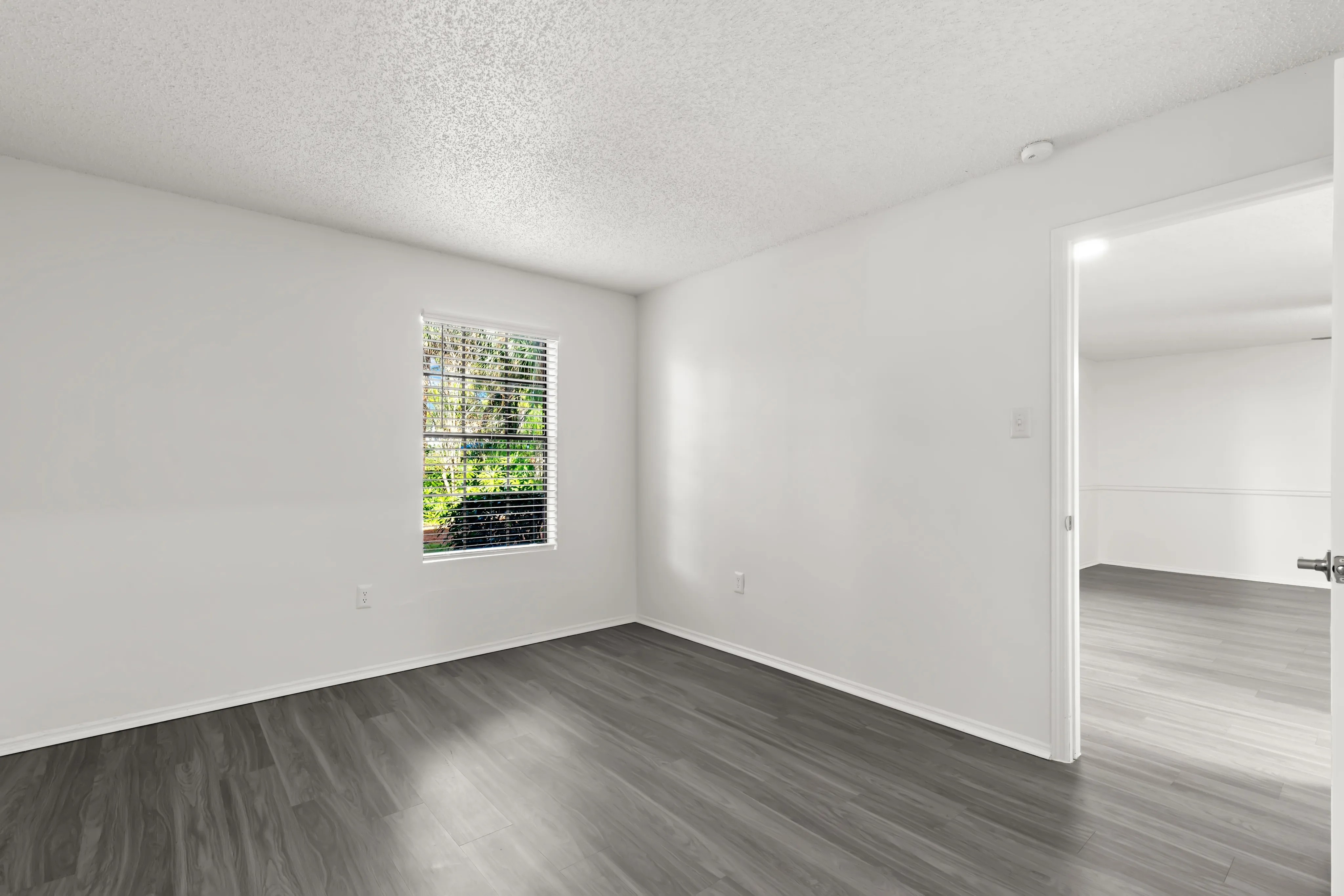 Apartments On Coachman Rd, Clearwater, FL Avana Coachman