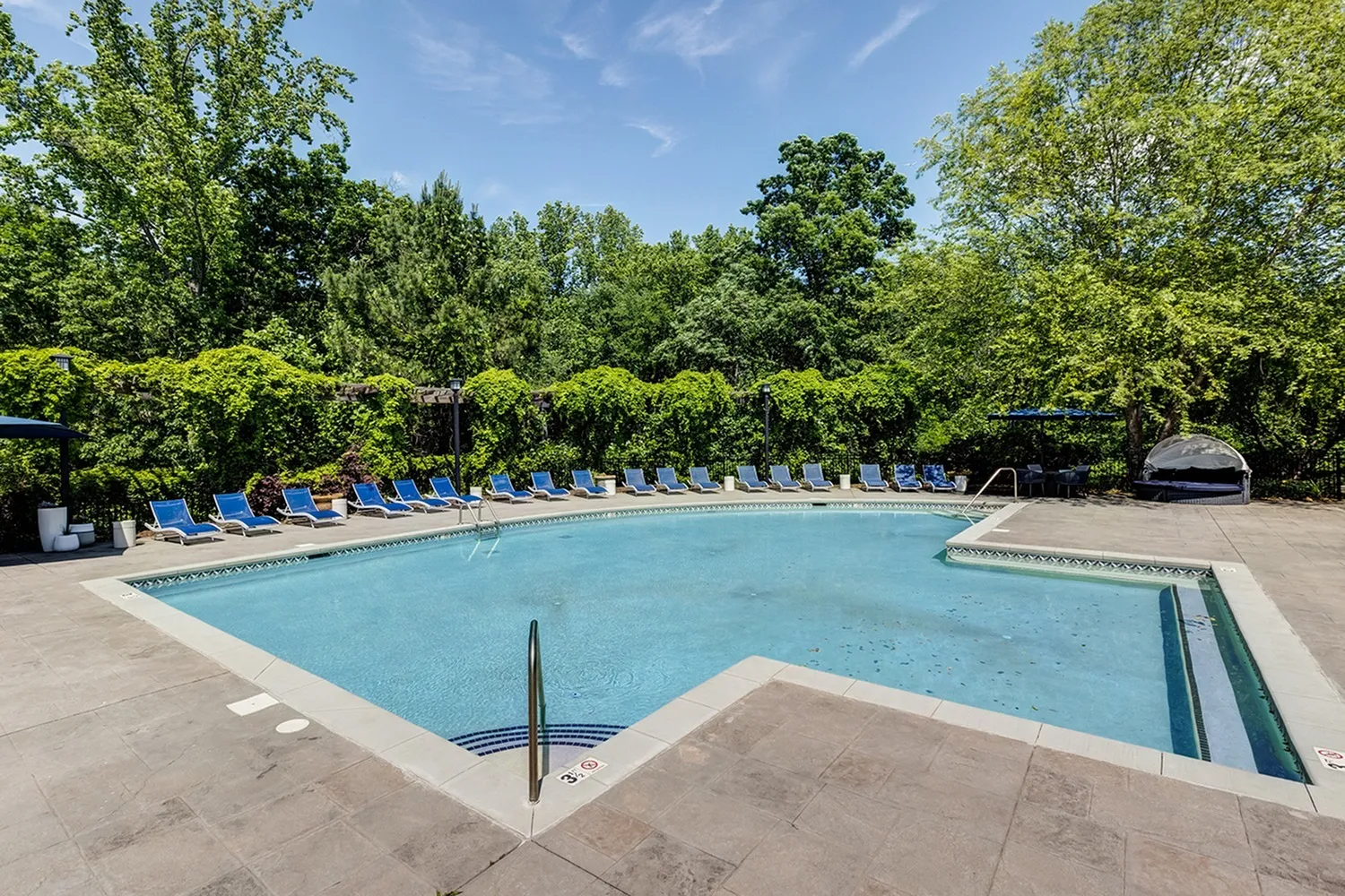 Pool and lounge seating surrounded by trees