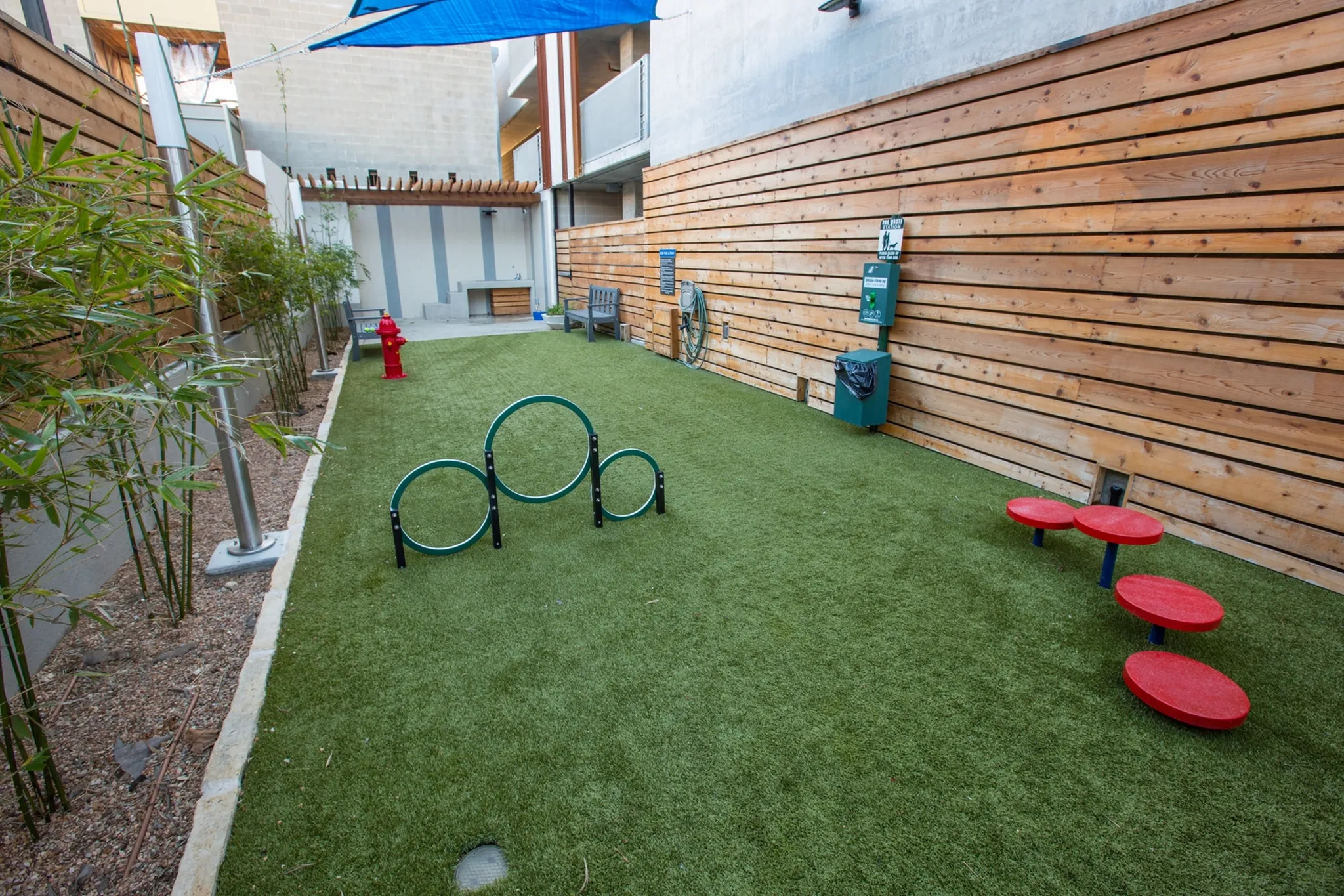 dog area