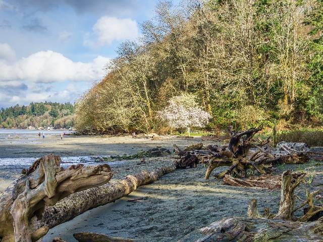 Dash Point State Park