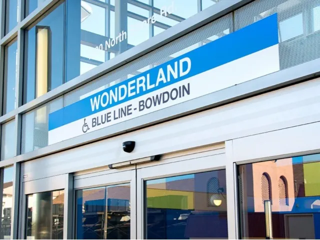 WONDERLAND BLUE LINE