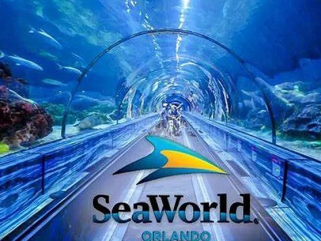 Sea World Orlando